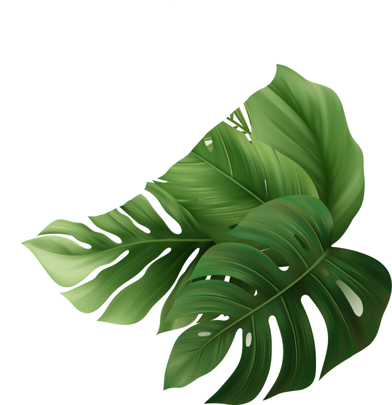 Palm Leaves