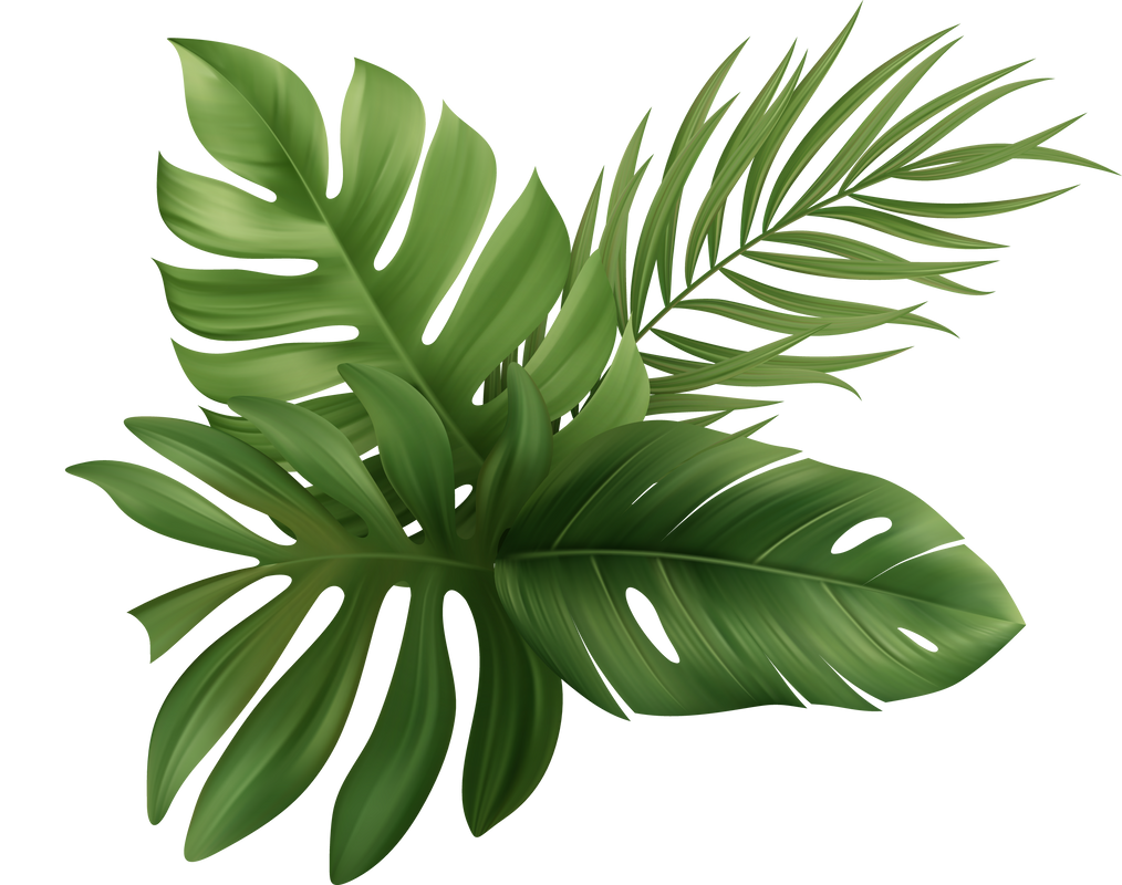 Palm Leaves